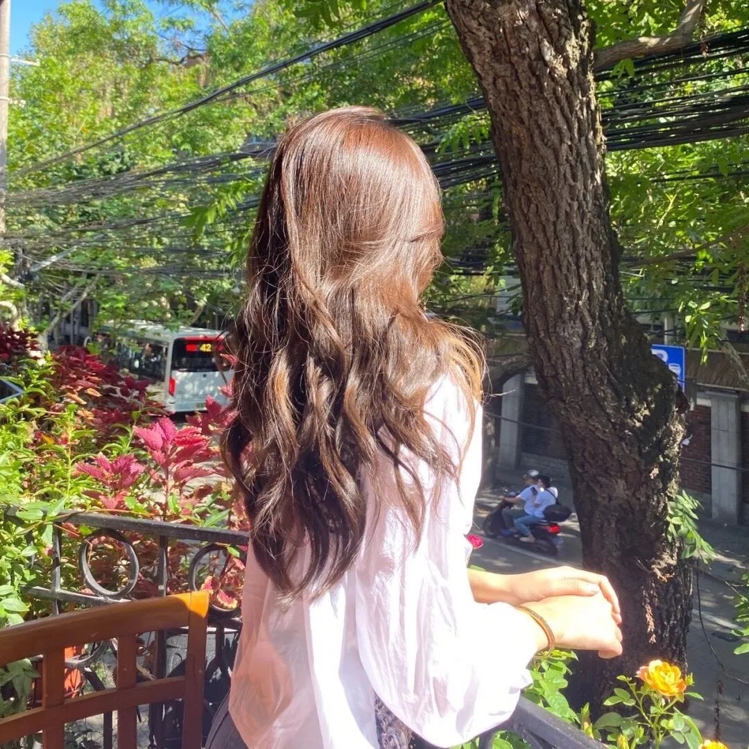 王冠的游戏：都铎家族